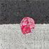 Christoph Radke, New York City, Queens, road and coke can, 2024